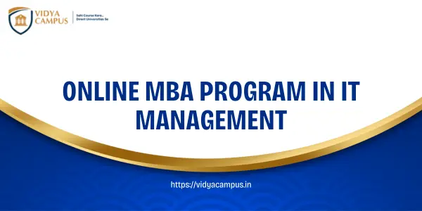Online MBA Program in IT Management
